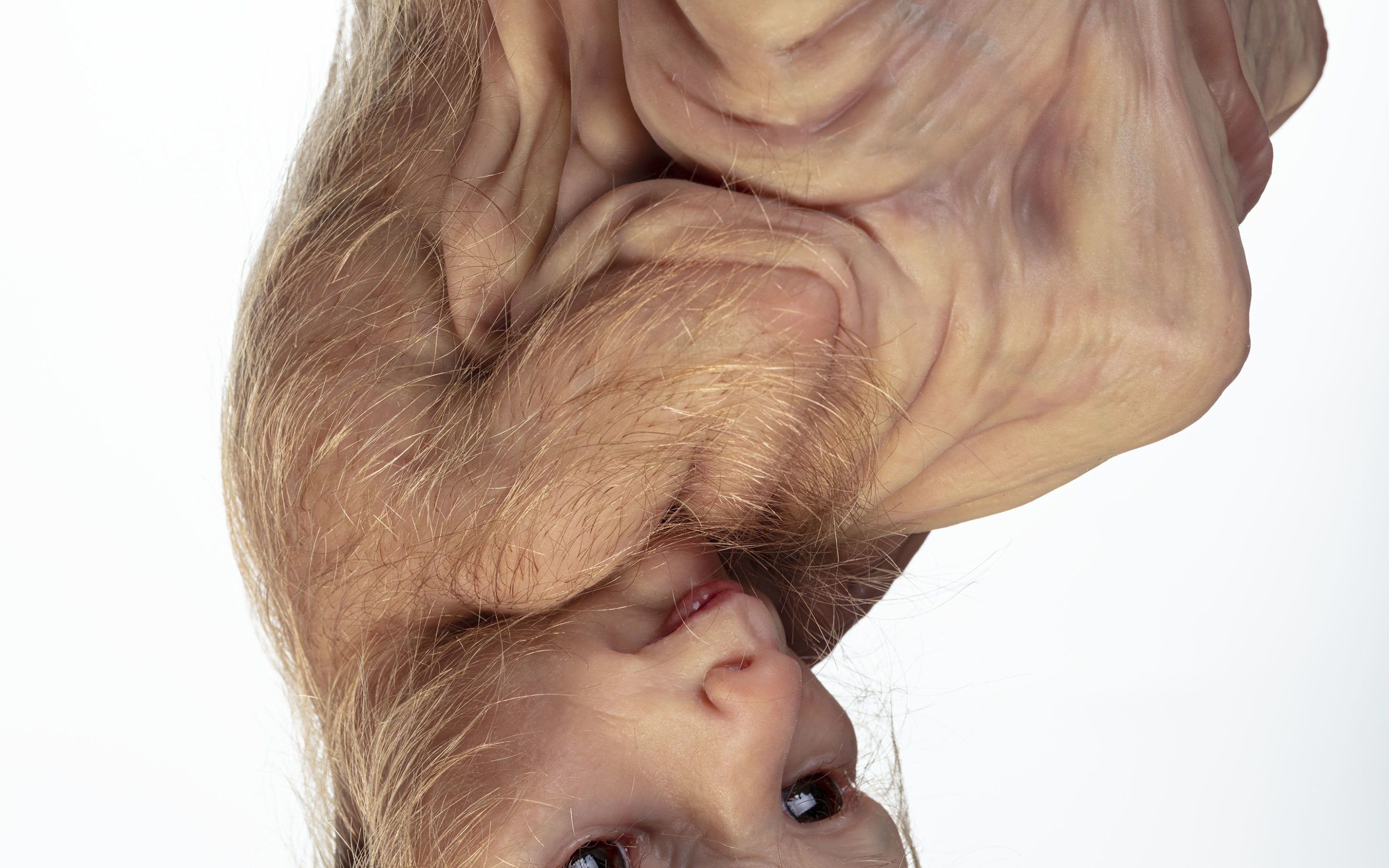 Patricia Piccinini (postponed) Taidehalli